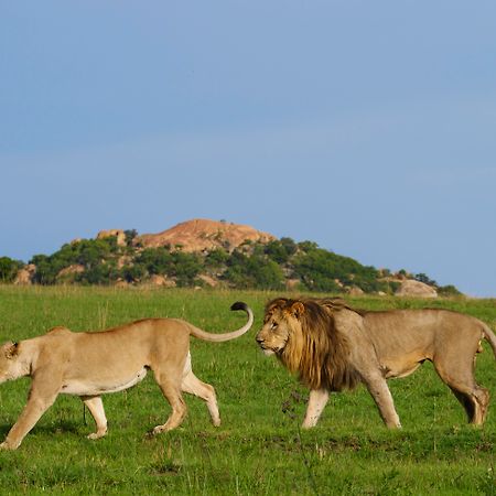 Nkomazi Game Reserve By Newmark Badplaas Dış mekan fotoğraf