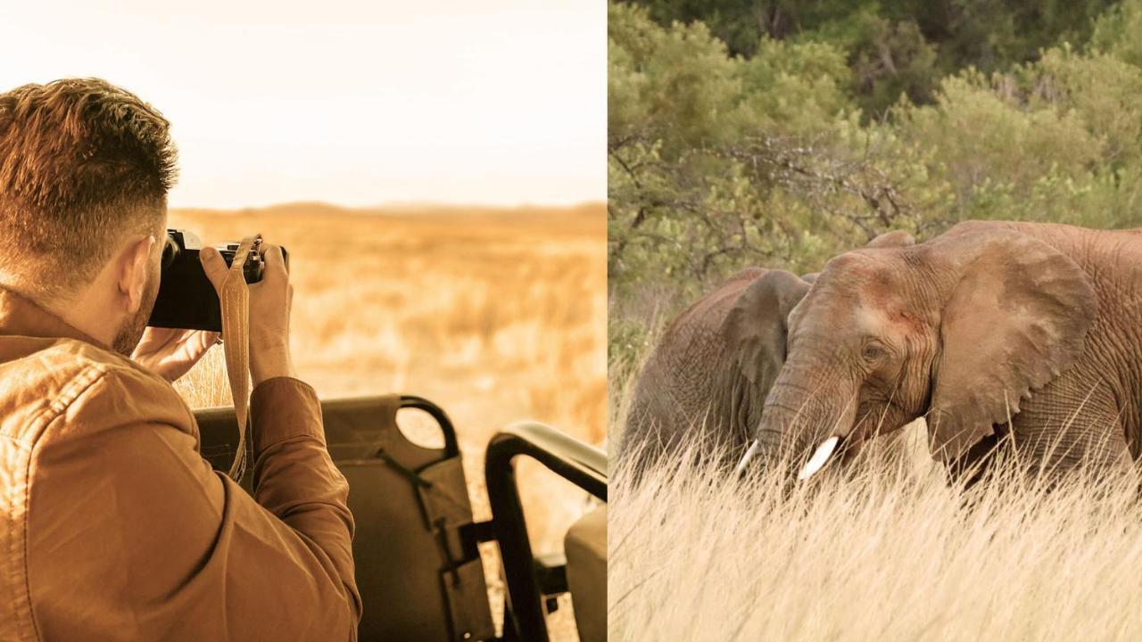 Nkomazi Game Reserve By Newmark Badplaas Dış mekan fotoğraf