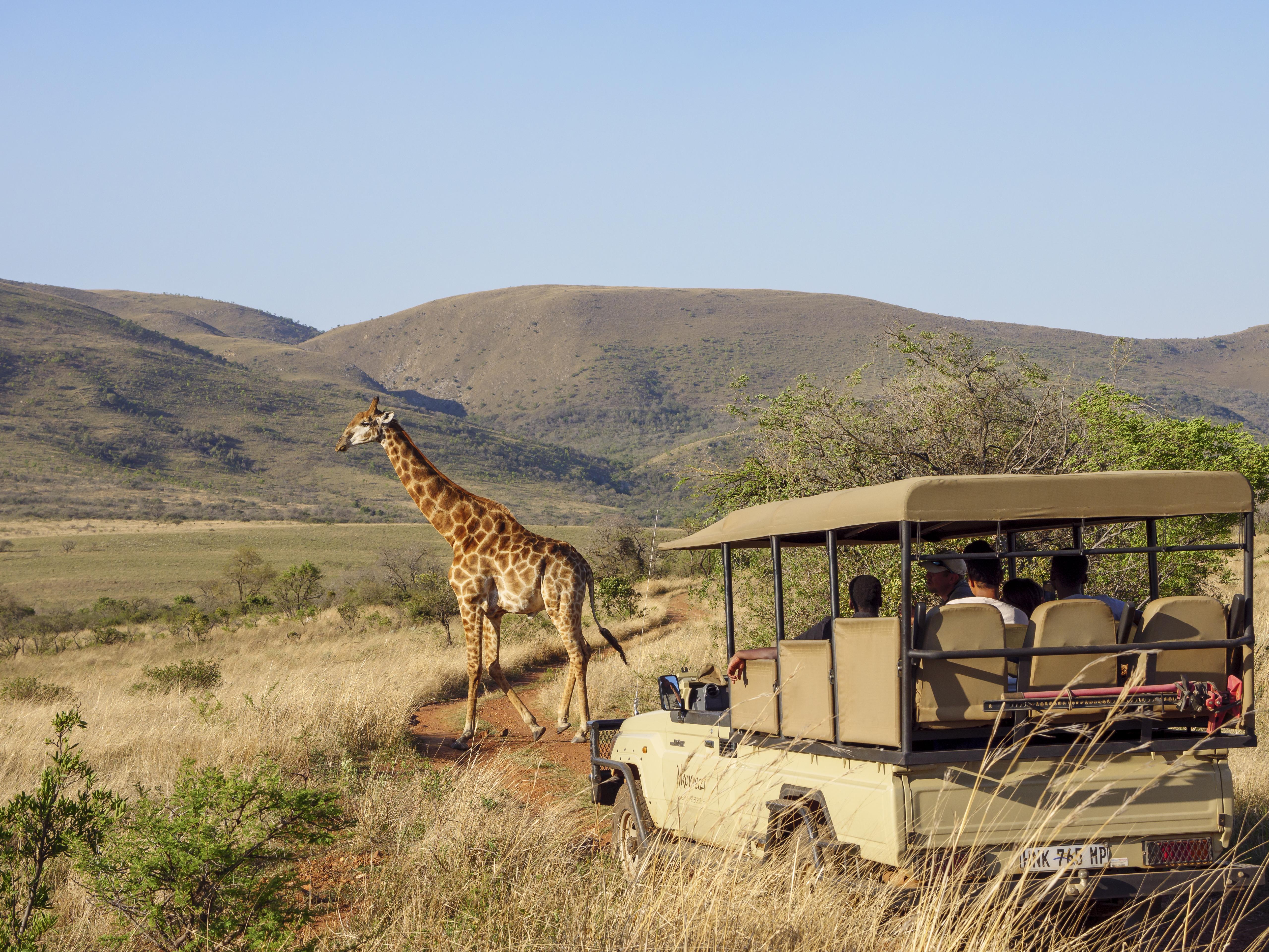 Nkomazi Game Reserve By Newmark Badplaas Dış mekan fotoğraf